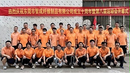 10年针刺无纺布厂家