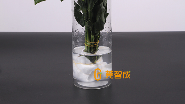 鲜花怎么保水？教你一个便捷招